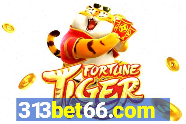 313bet66.com