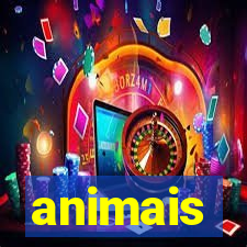 animais-pg.com