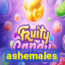 ashemales