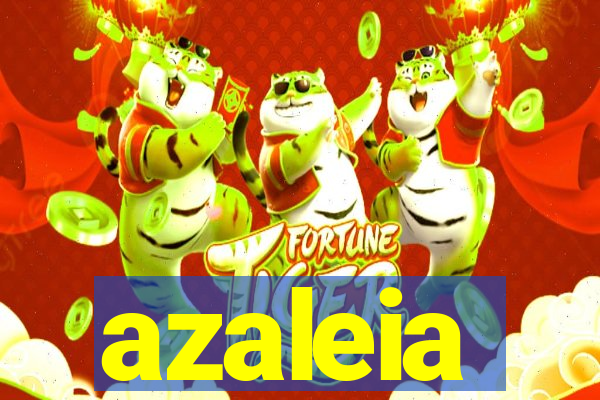 azaleia-br.com