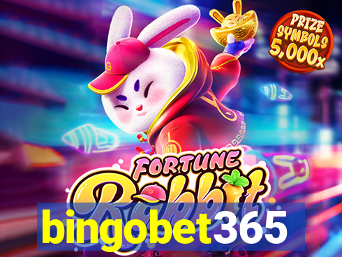 bingobet365