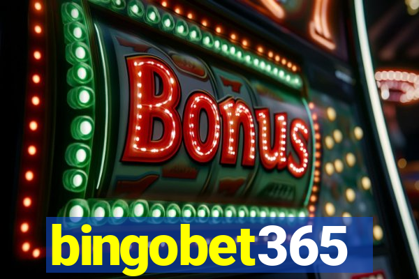 bingobet365