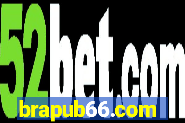 brapub66.com