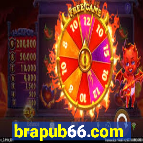 brapub66.com