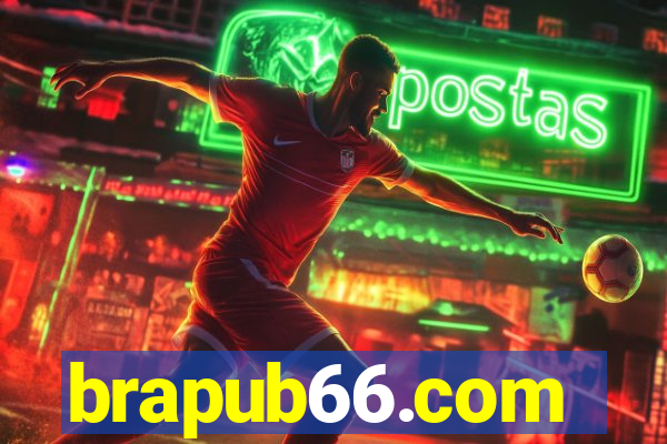 brapub66.com