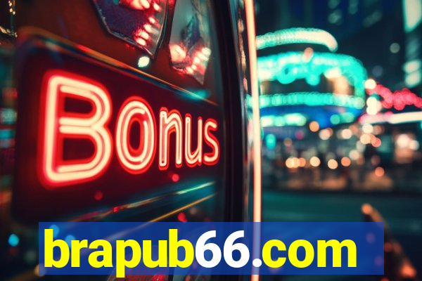 brapub66.com