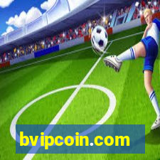 bvipcoin.com