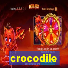 crocodile-pg.com