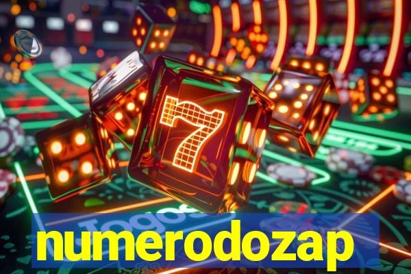 numerodozap