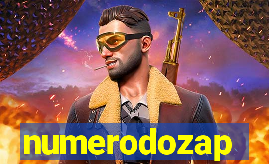 numerodozap