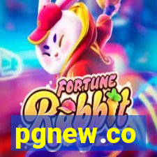 pgnew.co