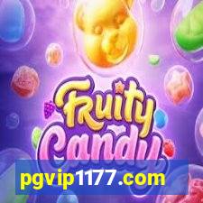 pgvip1177.com