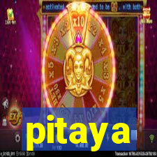 pitaya-bet