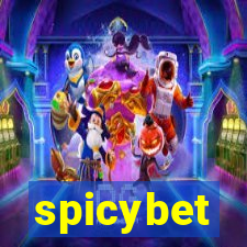 spicybet-4.com