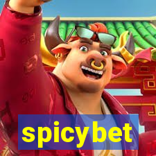 spicybet-4.com