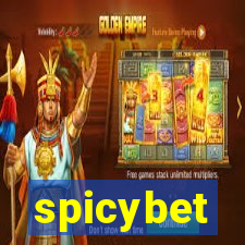 spicybet-5.com