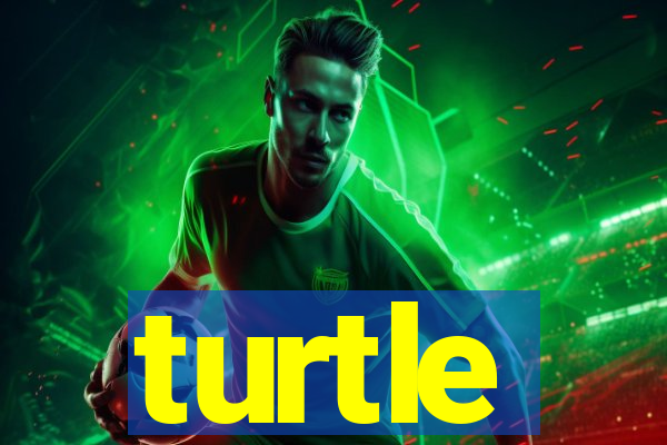 turtle-ty.com