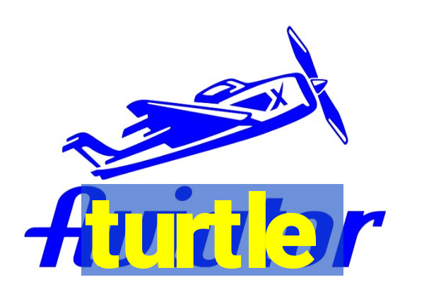 turtle-ty.com